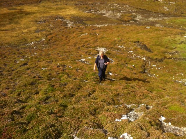 Sue in the heather.JPG